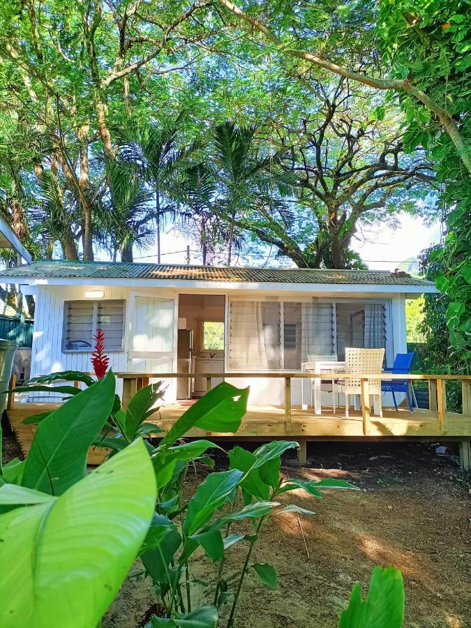 Are Tamareni 2Br Beach Cottage Or River Studio 아바루아 외부 사진
