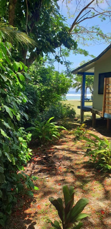 Are Tamareni 2Br Beach Cottage Or River Studio 아바루아 외부 사진